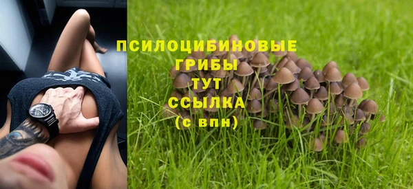 стаф Ростов