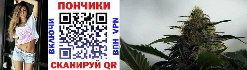 где купить наркотик  Вилючинск  Канабис ГИДРОПОН 
